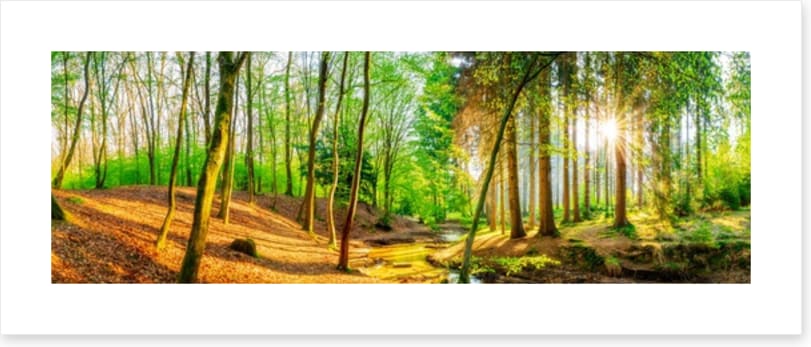 Sunbeam stream panorama
