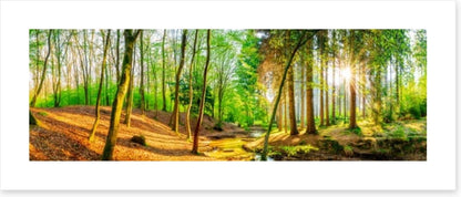 Sunbeam stream panorama