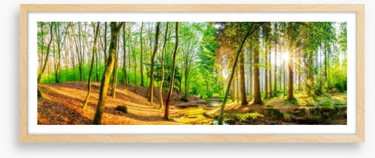 Sunbeam stream panorama