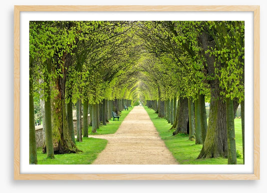 Linden promenade
