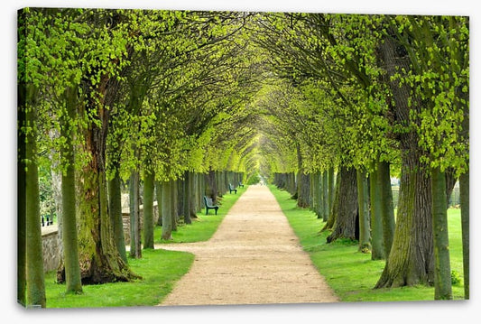 Linden promenade