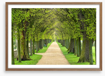 Linden promenade