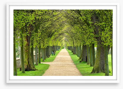 Linden promenade
