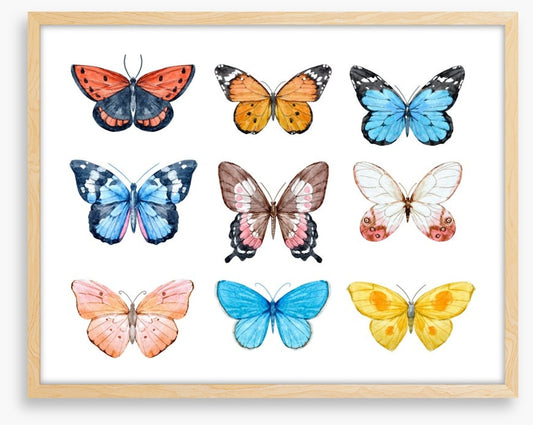 Butterflies