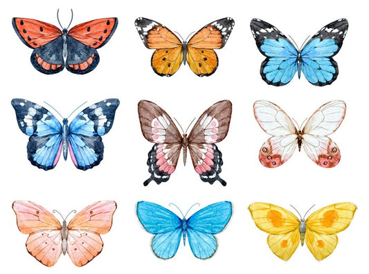Butterflies