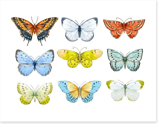 Butterfly nine