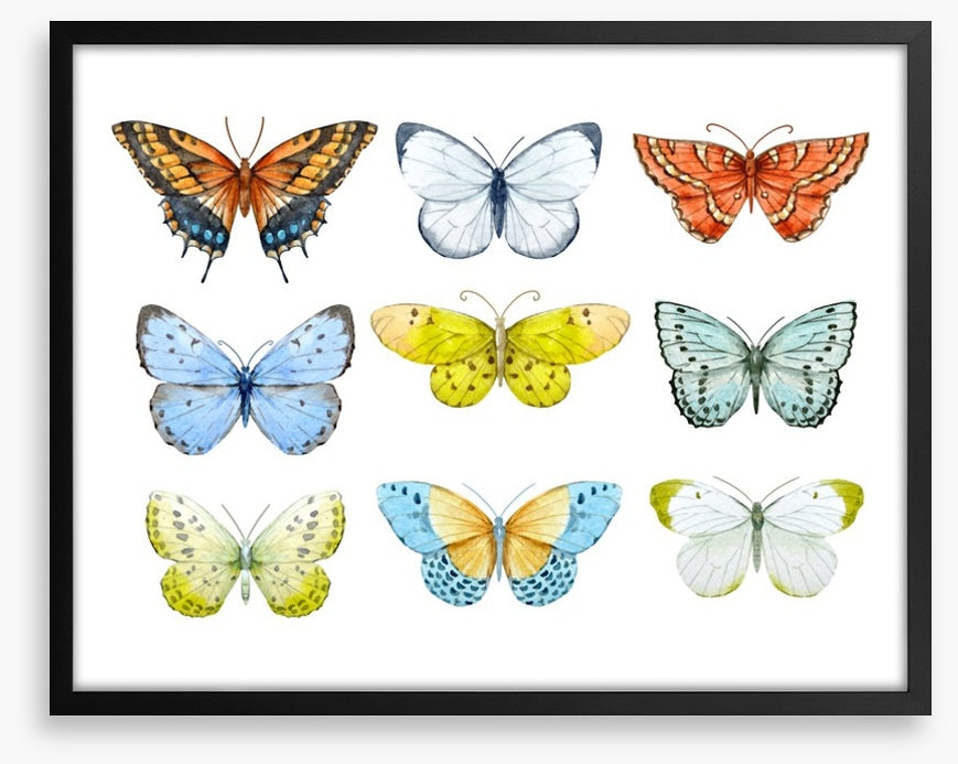 Butterfly nine