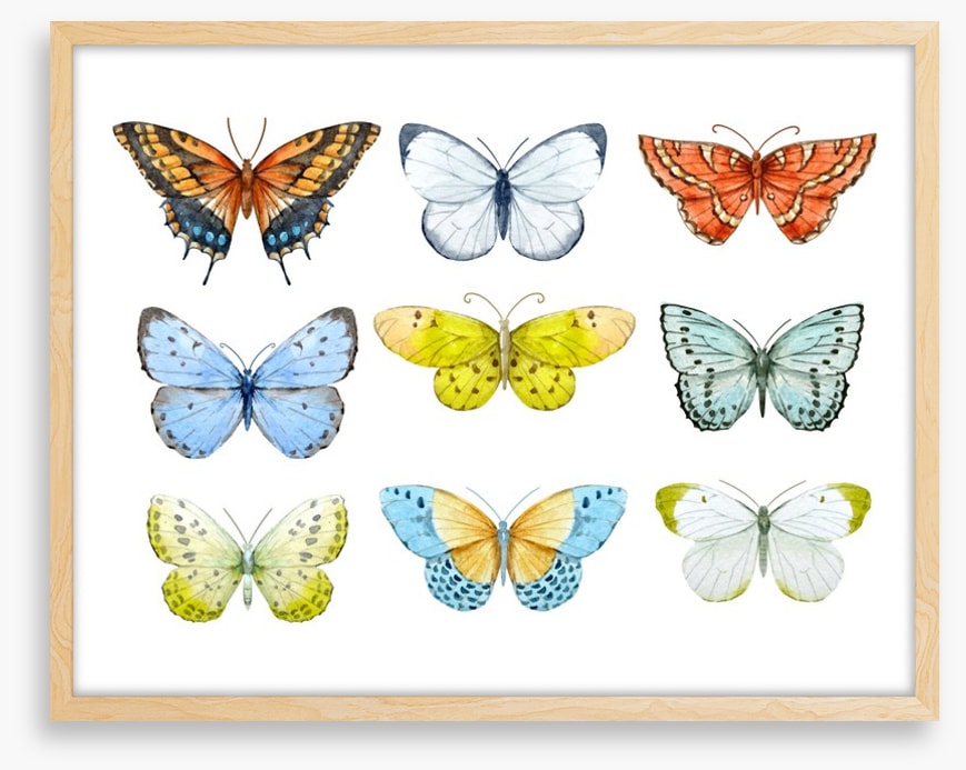 Butterfly nine