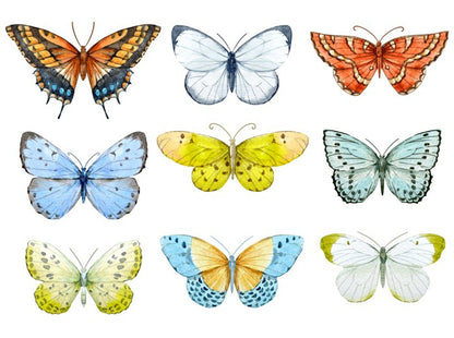 Butterfly nine