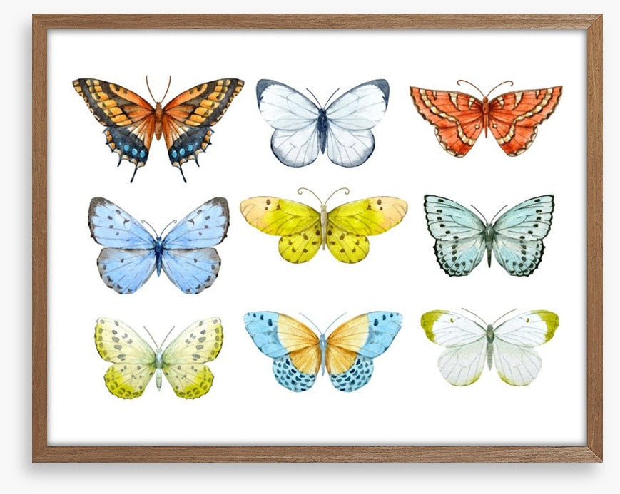 Butterfly nine