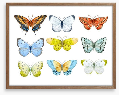 Butterfly nine