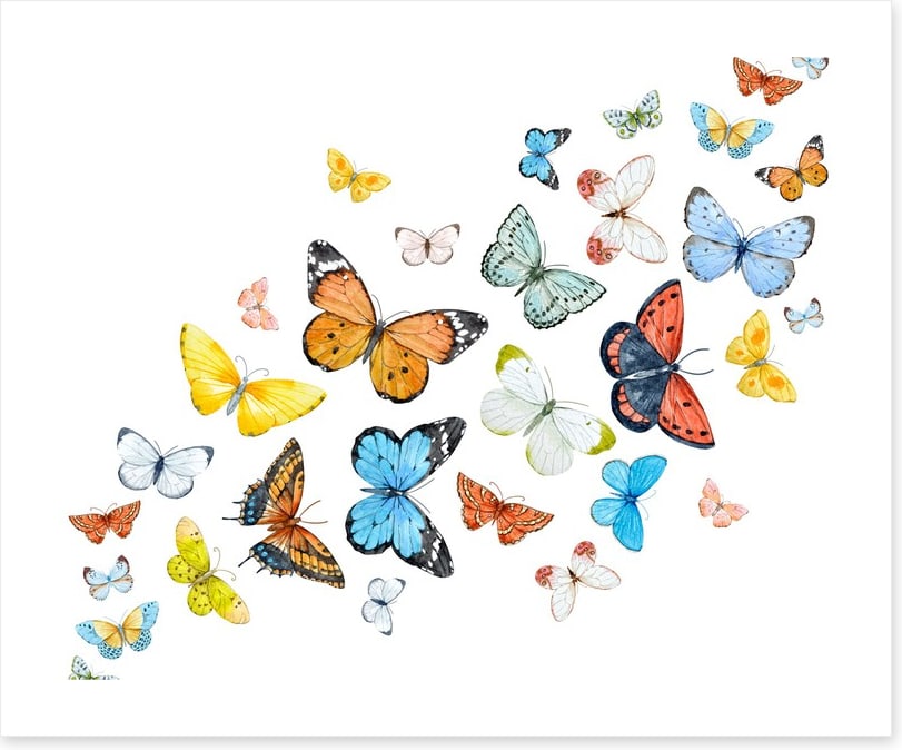 Butterfly flight