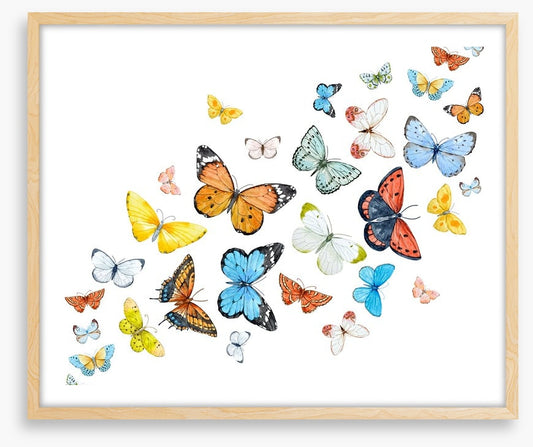 Butterfly flight