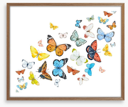 Butterfly flight