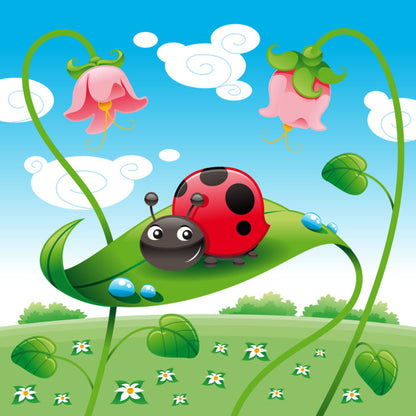 Ladybird on a leaf