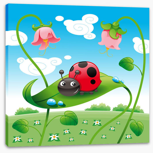 Ladybird on a leaf