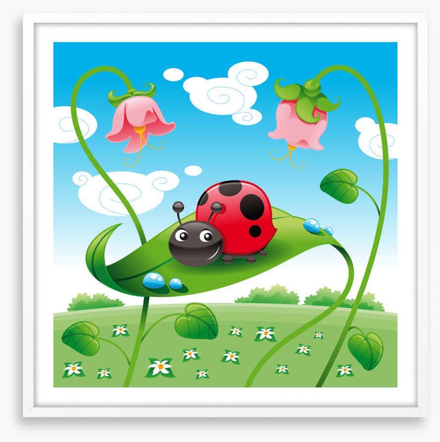 Ladybird on a leaf