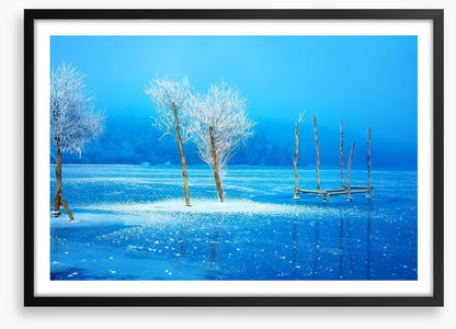 The frozen lake