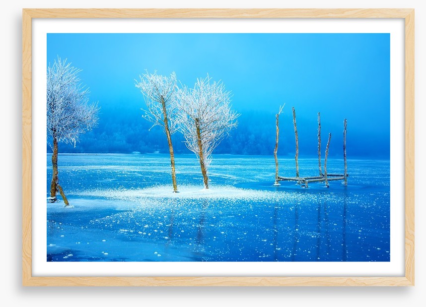 The frozen lake