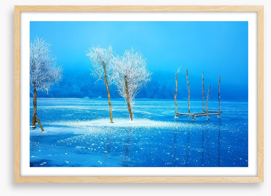 The frozen lake