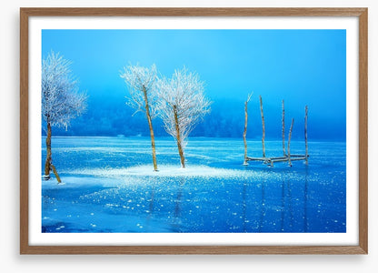 The frozen lake