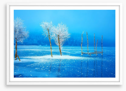 The frozen lake