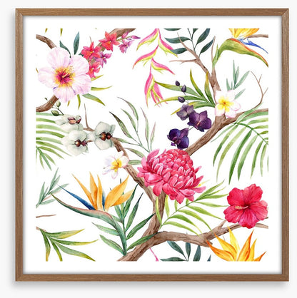 Botanical beauty