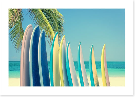 Vintage surfboards