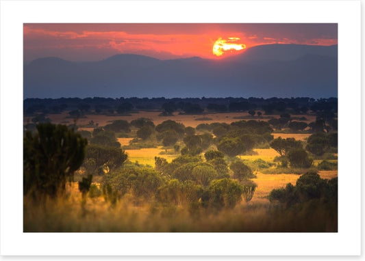 Africa