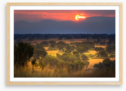 Africa