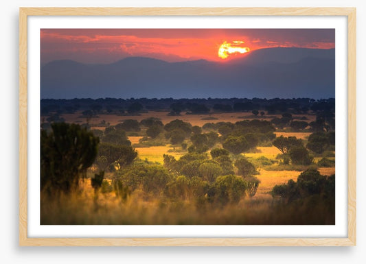 Africa