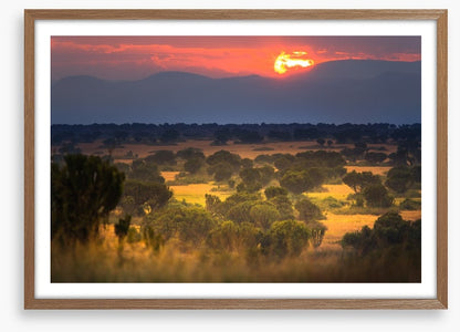 Africa