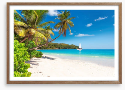 Catamaran cove