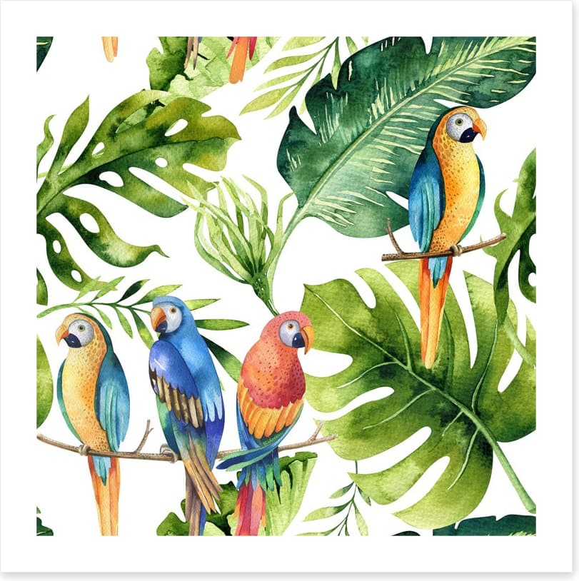 Odd bird out
