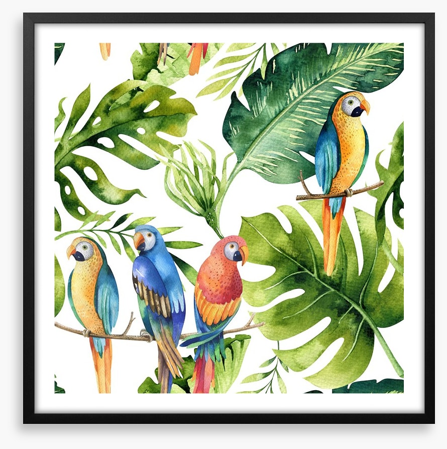 Odd bird out