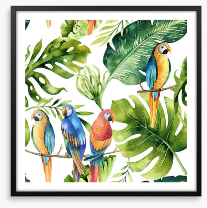 Odd bird out