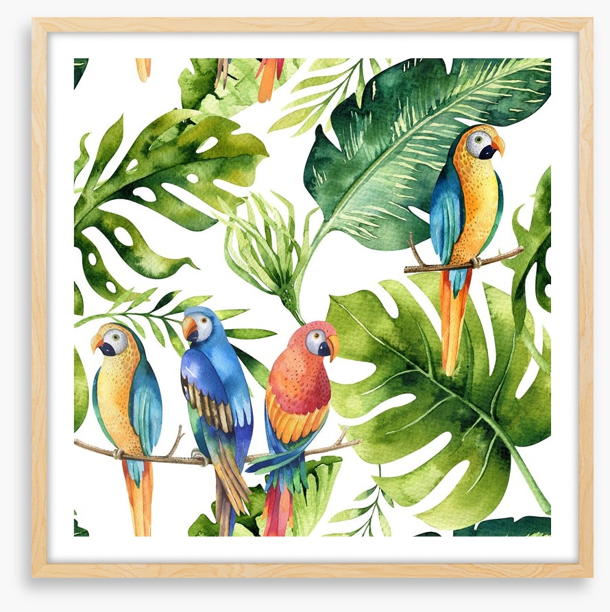 Odd bird out