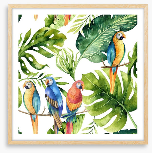 Odd bird out