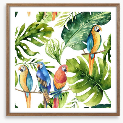 Odd bird out