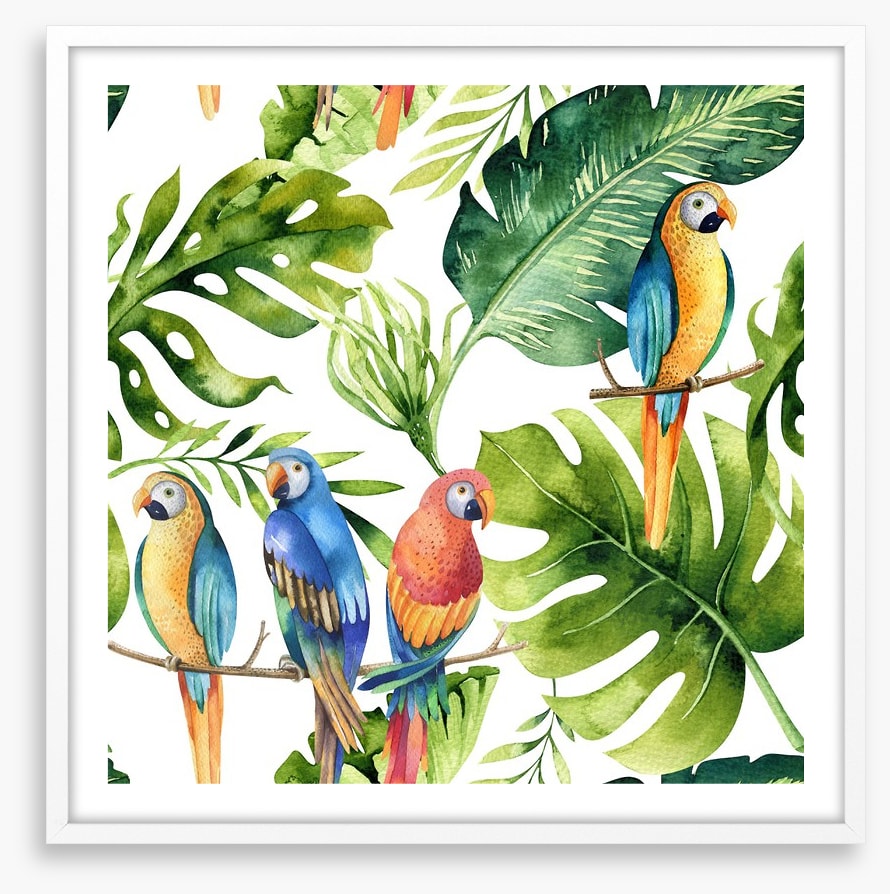 Odd bird out