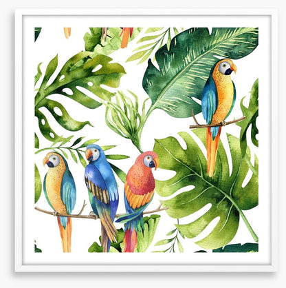 Odd bird out