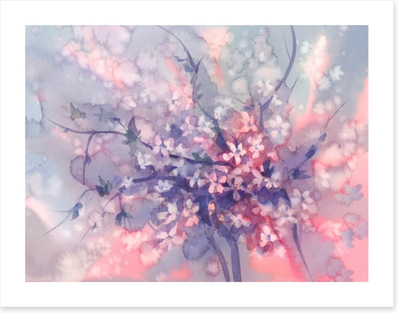 Sakura branch bloom