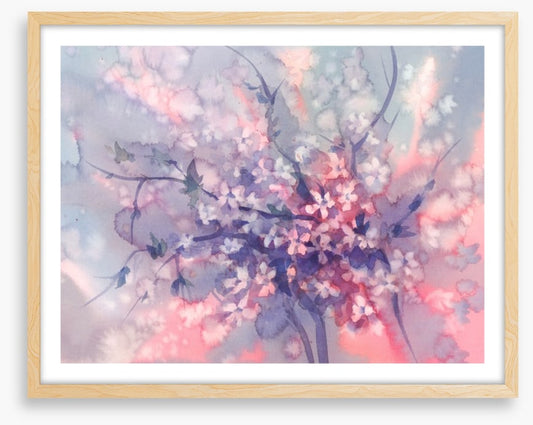 Sakura branch bloom