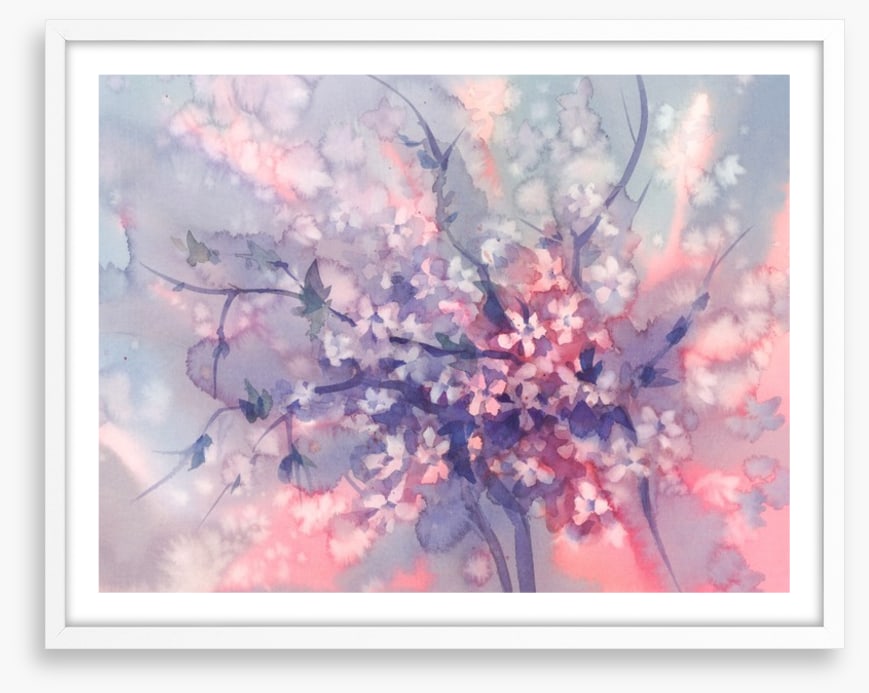 Sakura branch bloom