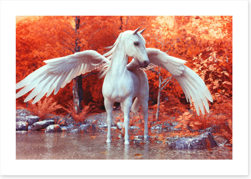Pegasus in fall