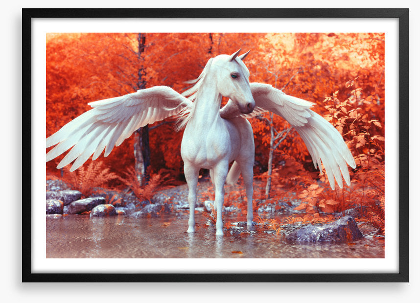 Pegasus in fall