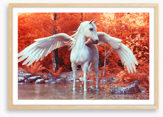 Pegasus in fall