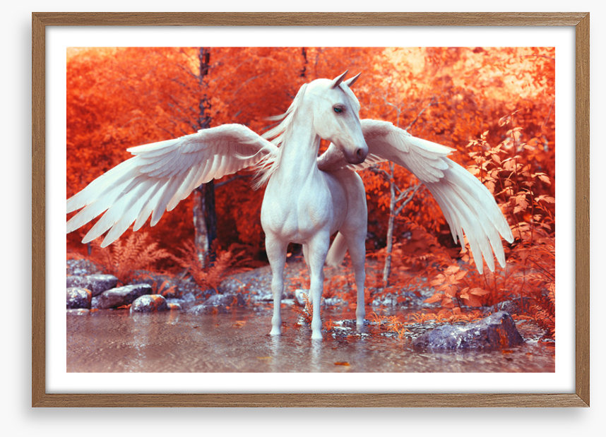 Pegasus in fall