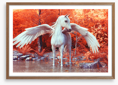 Pegasus in fall