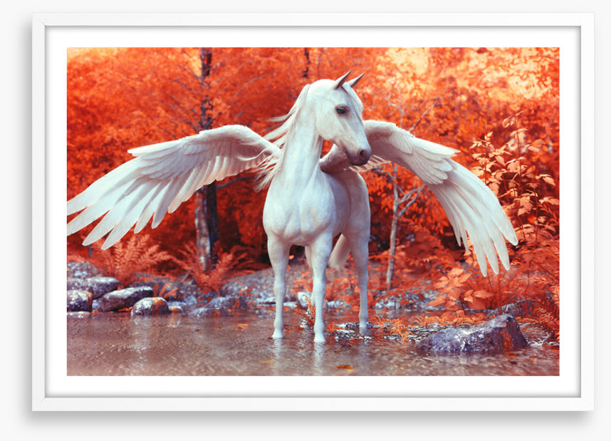 Pegasus in fall